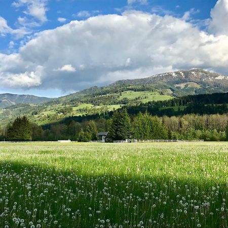 Traumhafte Wohnung Auf Pferde Ranch Aich  Kültér fotó
