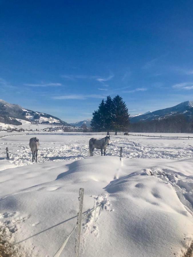 Traumhafte Wohnung Auf Pferde Ranch Aich  Kültér fotó