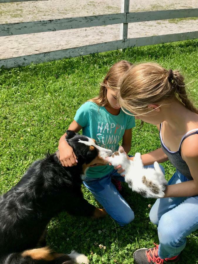Traumhafte Wohnung Auf Pferde Ranch Aich  Kültér fotó