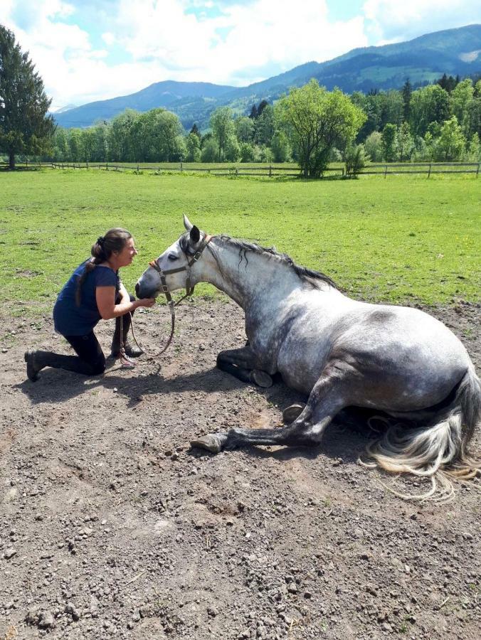 Traumhafte Wohnung Auf Pferde Ranch Aich  Kültér fotó