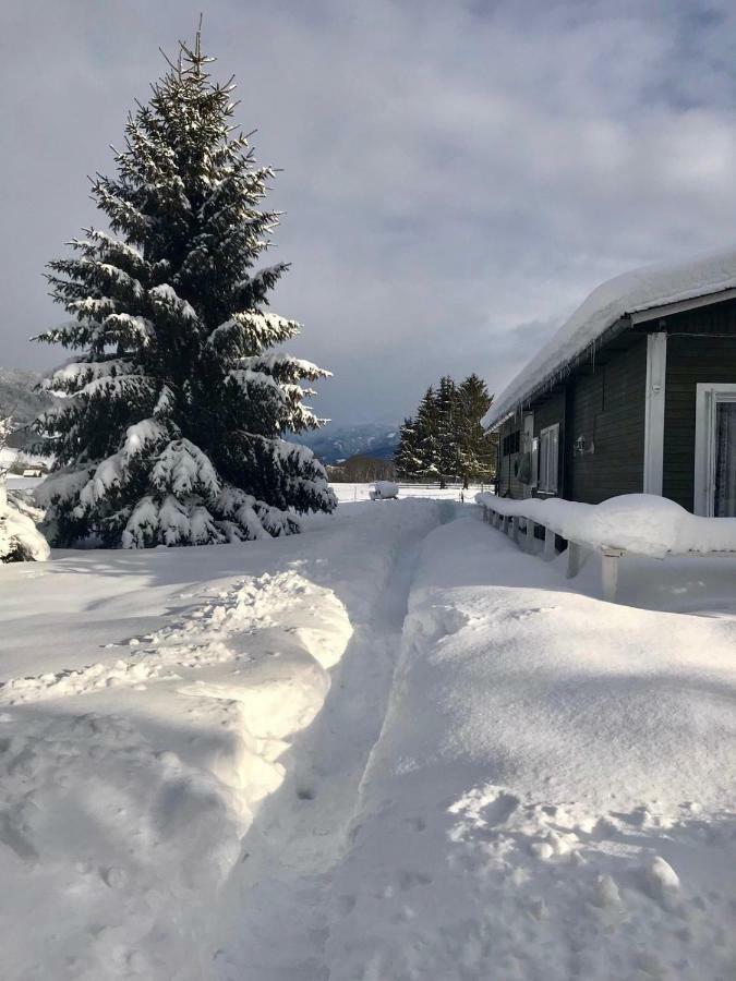 Traumhafte Wohnung Auf Pferde Ranch Aich  Kültér fotó